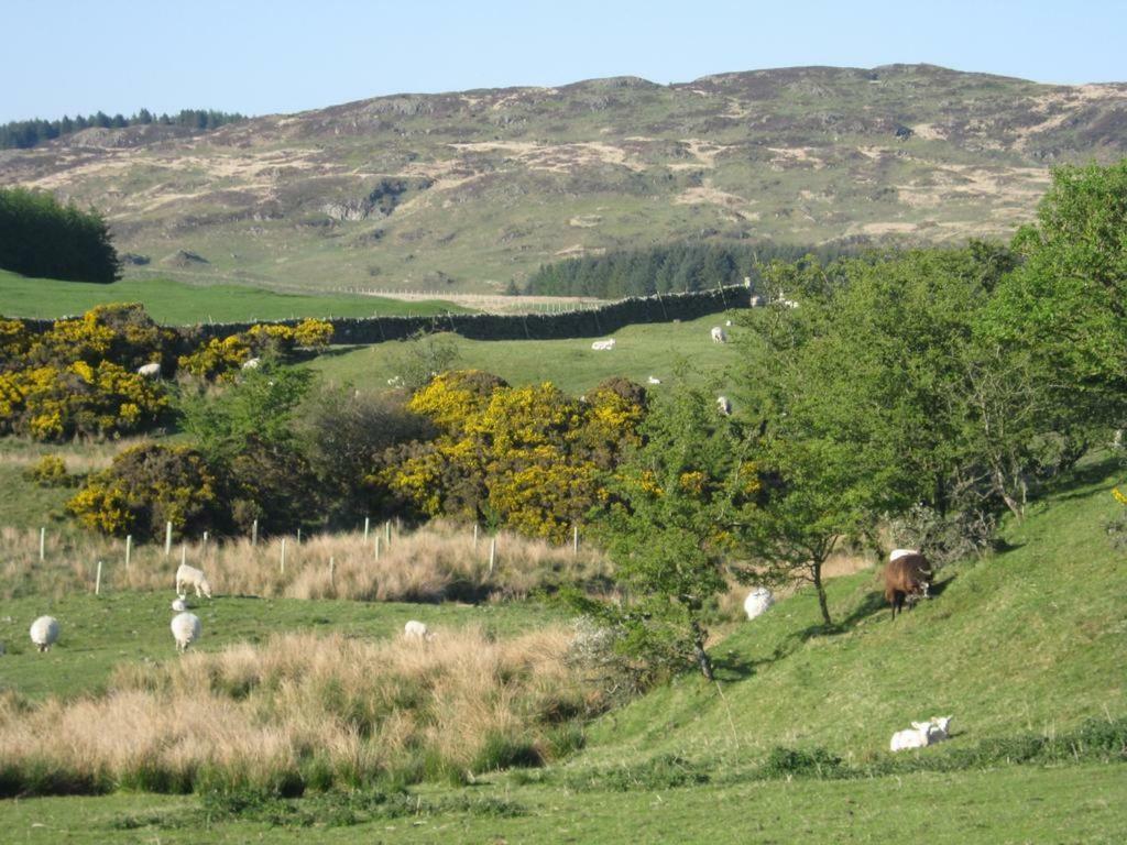 Barcloy Honey House Villa Kirkcudbright Ngoại thất bức ảnh